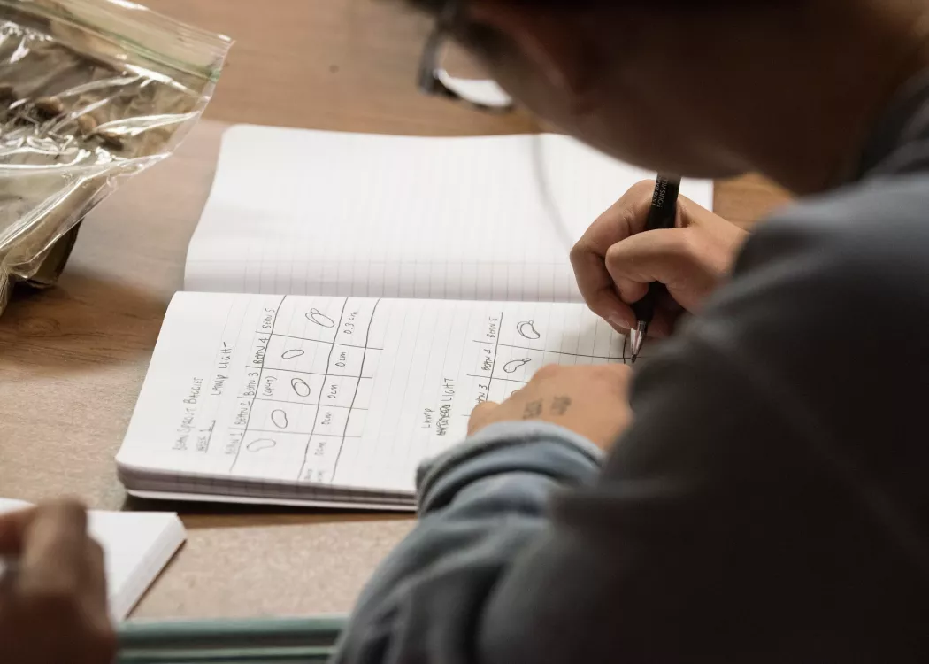 Close up of student writing in notebook
